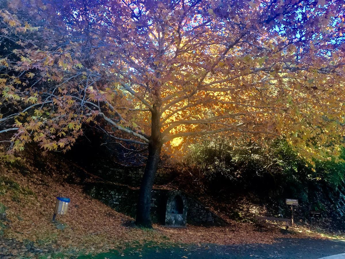Saint Nicholas Heights Chakistra Bagian luar foto